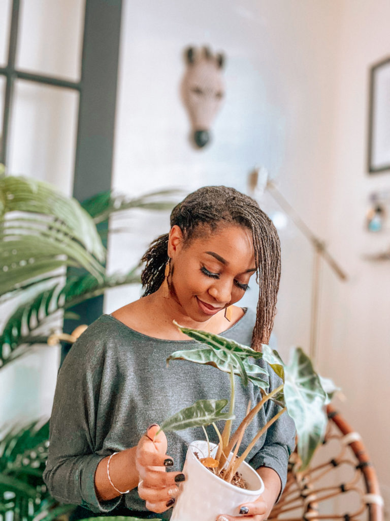 styles for sisterlocks
